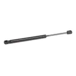 RIDEX luugiamort, pagasi-/veoruum 219G0597