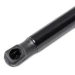 RIDEX luugiamort,  pagasi-/veoruum 219G0913