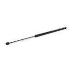 RIDEX luugiamort,  pagasi-/veoruum 219G1085
