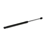 RIDEX luugiamort,  pagasi-/veoruum 219G1312