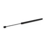 RIDEX luugiamort,  pagasi-/veoruum 219G1383