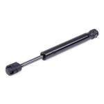 RIDEX luugiamort,  tagaklaas 2454G0022