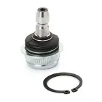 RIDEX Шарнир независимой подвески / поворотного рычага 2462S0600