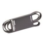 RIDEX Soonrihm 305P0387