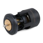 RIDEX Termostaat,  Jahutusvedelik 316T0009