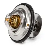 RIDEX Termostaat,  Jahutusvedelik 316T0019