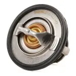 RIDEX Termostaat,  Jahutusvedelik 316T0027