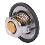 RIDEX Termostaat, Jahutusvedelik 316T0031