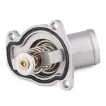 RIDEX Termostaat,  Jahutusvedelik 316T0053
