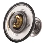 RIDEX Termostaat,  Jahutusvedelik 316T0070