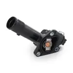 RIDEX Termostaat,  Jahutusvedelik 316T0319