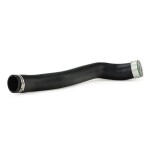 RIDEX turbo voolik (laadimisõhu) 3314C0279
