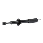 RIDEX Õhuamort 4118A0114