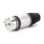 RIDEX Õhkvedru (õhkpadi,  lõõts) 4119A0042