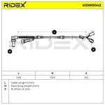 RIDEX abs andur / rattapöörete arv 412W0042