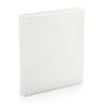 RIDEX Filter,  salongiõhk 424I0029