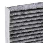 RIDEX Filter,  salongiõhk 424I0221