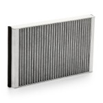 RIDEX Filter,  salongiõhk 424I0387