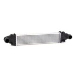 RIDEX Kompressoriõhu radiaator 468I0087