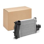 RIDEX Kompressoriõhu radiaator 468I0213
