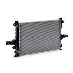 RIDEX Radiaator,  mootorijahutus 470R0069