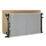 RIDEX Radiaator,  mootorijahutus 470R0421