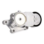 RIDEX 540T0013