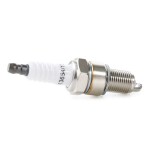 RIDEX Süüteküünal 686S0028