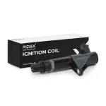 RIDEX Süütepool 689C0020