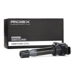 RIDEX Süütepool 689C0246