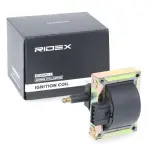 RIDEX Süütepool 689C0308