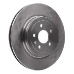 RIDEX Piduriketas 82B1699