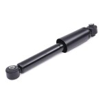 RIDEX Amort 854S0024