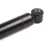 RIDEX Amort 854S0053