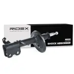 RIDEX Amort 854S0234