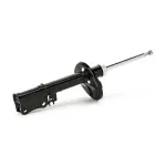 RIDEX Amort 854S0237