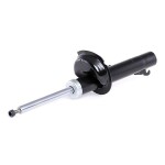 RIDEX Amort 854S0304