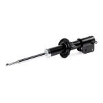 RIDEX Amort 854S0346