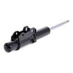 RIDEX Amort 854S0625