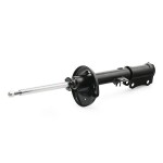 RIDEX Amort 854S0746