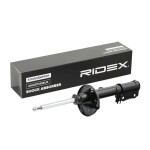 RIDEX Amort 854S0766