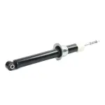 RIDEX Amort 854S0843