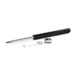 RIDEX Amort 854S0907