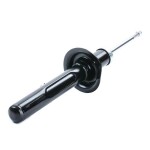 RIDEX Amort 854S1048