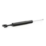 RIDEX Amort 854S1090