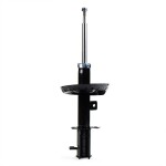 RIDEX Amort 854S1191