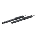 RIDEX Amort 854S1587