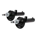 RIDEX Amort 854S1731