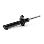 RIDEX Amort 854S17911