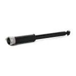 RIDEX Amort 854S18123